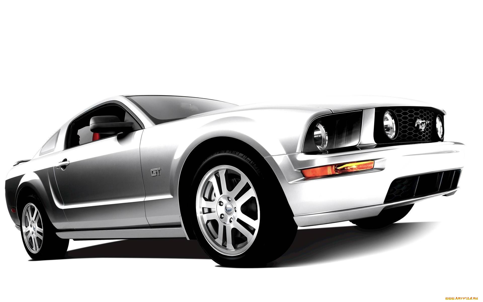 , mustang, 